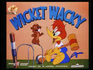 Title card (90's Master, CTC aired)