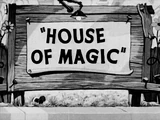 House of Magic