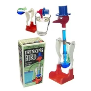 Drinking Lucky Bird Water Wonder