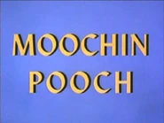 Moochinpooch-title-1-.jpg (14 KB)
