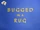 Bugged in a Rug