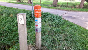 C92 3.jpg