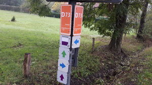 D73 2.jpg