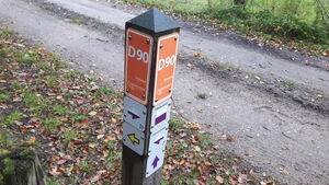 D90 3.jpg