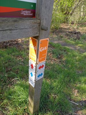 G66 3.jpg