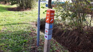 C85 3.jpg