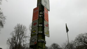 G06 2.jpg