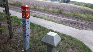 D61 4.jpg