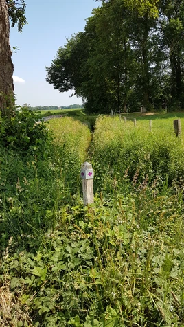 Vermolenroute