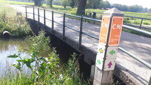 C96 2.jpg