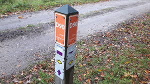 D90 2.jpg