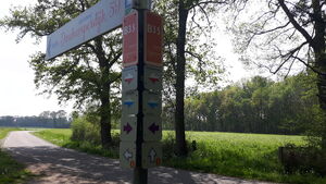 B35 2.jpg