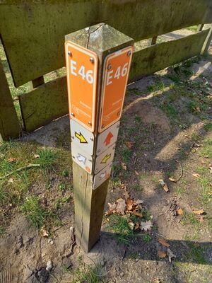 E46 2.jpg