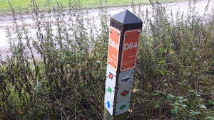 D84 2.jpg