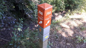 J98 3.jpg