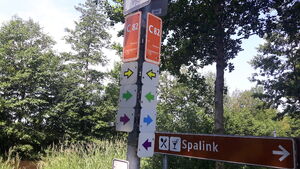 C82 2.jpg