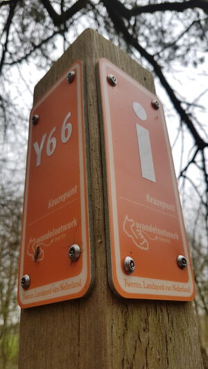 Y66.jpg