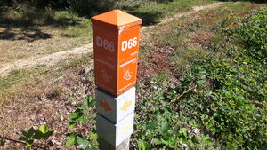 D66 2.jpg