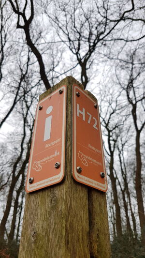 H72.jpg