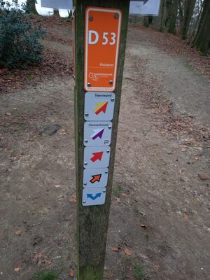 D53 3.jpg