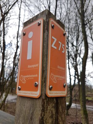 Z75 Buurserzand.jpg