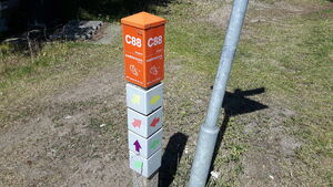 C88 3.jpg