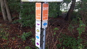 D97 2.jpg