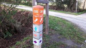C85 2.jpg