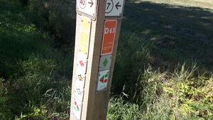 D63 3.jpg