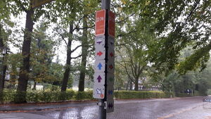 D74 3.jpg