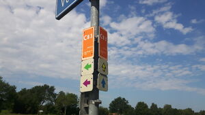 C83 3.jpg