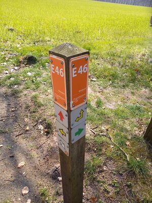 E46 3.jpg