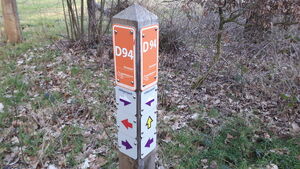 D94 3.jpg
