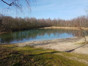 Recreatiegebied De Koele in Bruinehaar 1