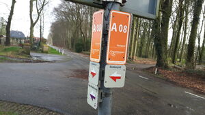 A08 2.jpg
