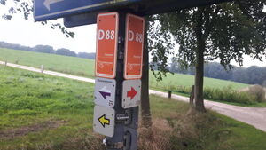 D88 2.jpg