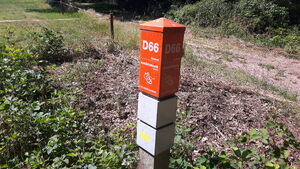D66 3.jpg