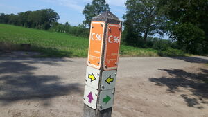 C96 3.jpg
