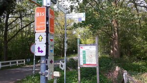 B35 3.jpg