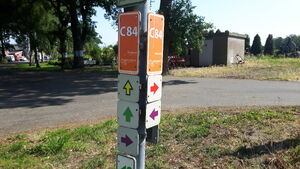 C84 3.jpg