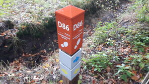D86 3.jpg