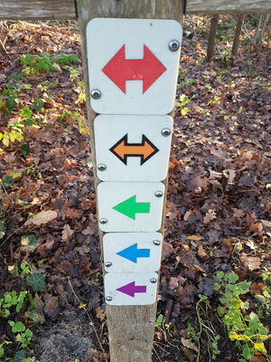 Routes Tusveld.jpg