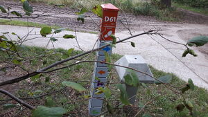 D61 5.jpg