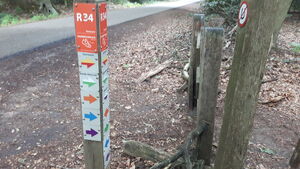 R34 3.jpg