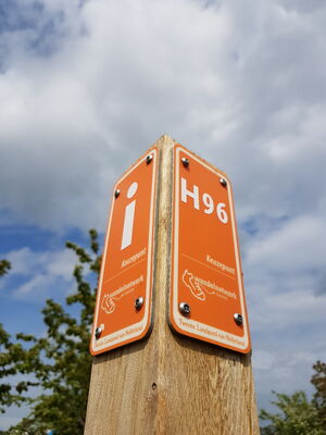 H96.jpg