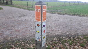 D51 3.jpg