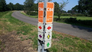 C84 2.jpg