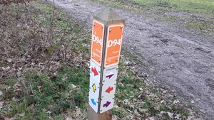 D94 2.jpg