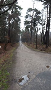 De Flierveldweg, een weg tussen Delden en Beckum