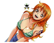 Nami PTS